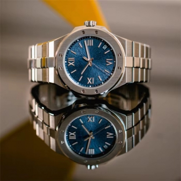 Low MOQ Business Style Class Custom Men's Stainless Steel Mechanical Watch Fashion Oem Men Watches